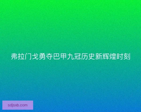 弗拉门戈勇夺巴甲九冠历史新辉煌时刻